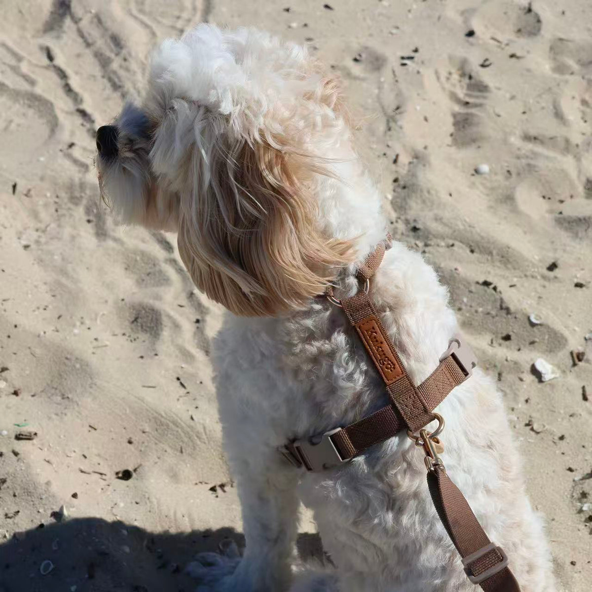 Kuku Brown Nylon Webbing Y-Shaped Dog Harness