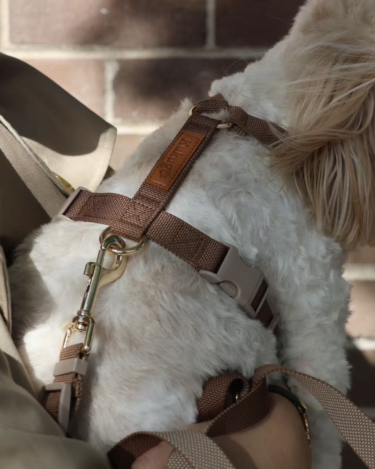 Kuku Brown Nylon Rope Y-Shaped Dog Harness