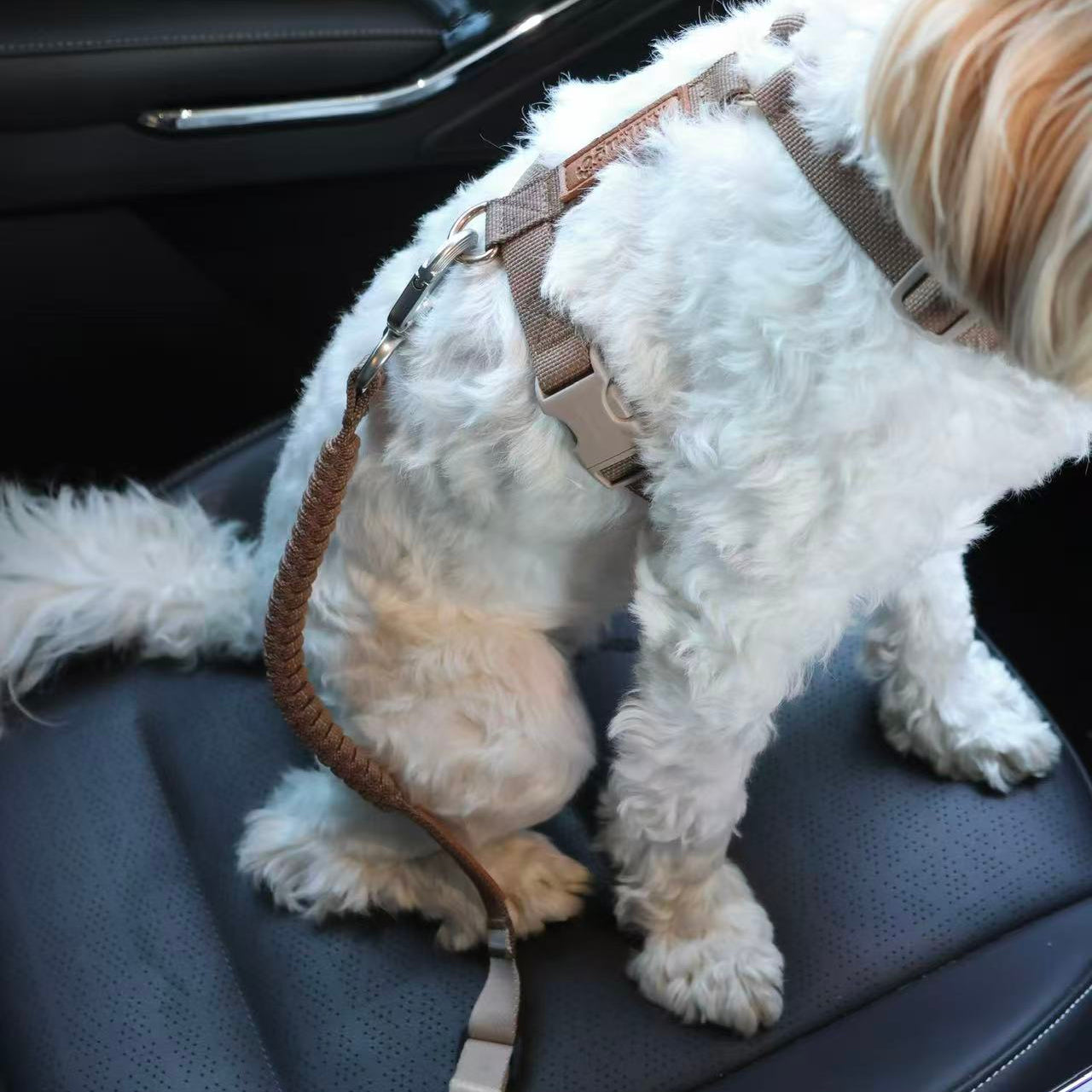 Kuku Brown Adjustable Dog Car Seat Belt