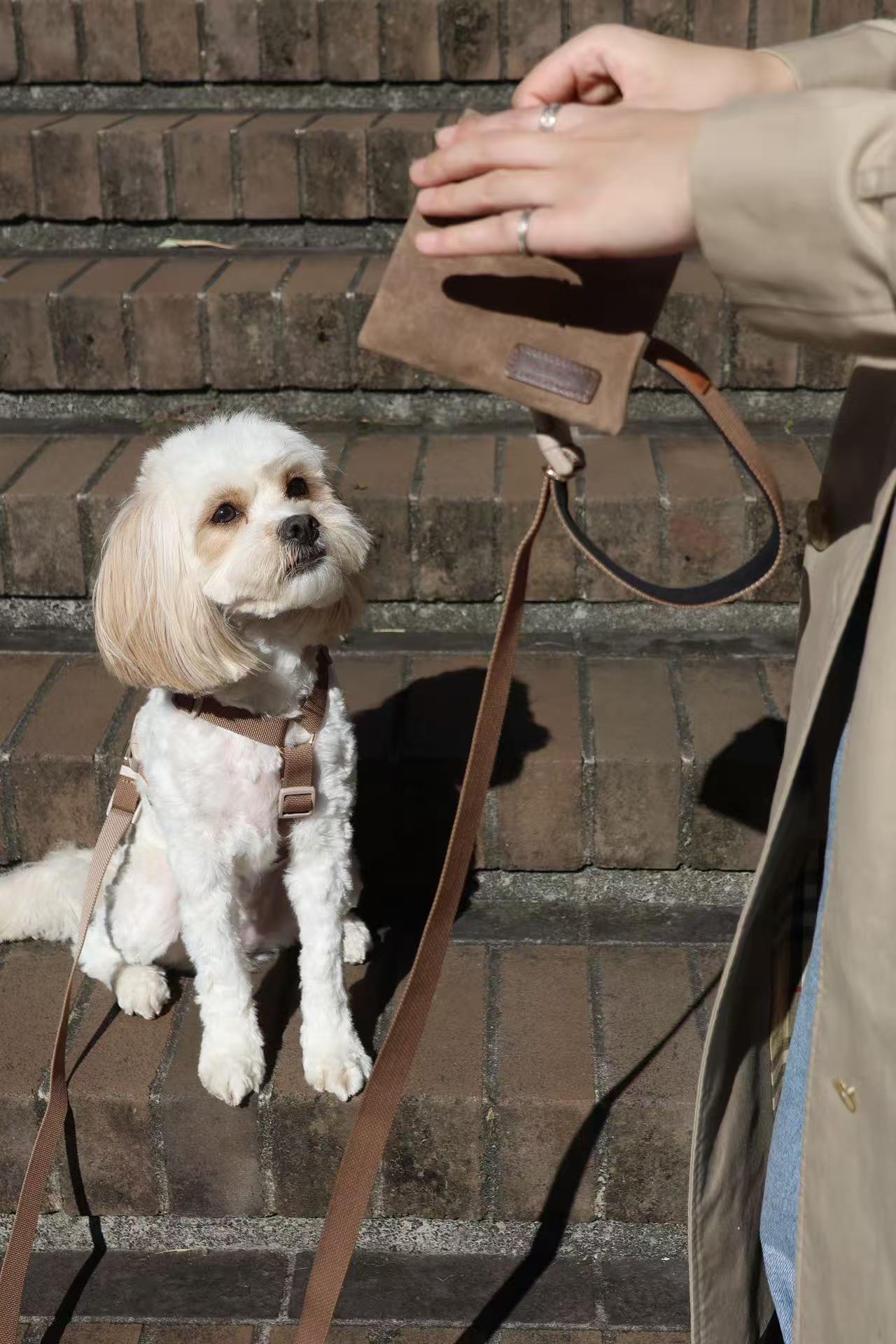 Waterproof Canvas & Leather Dog Treat Bag