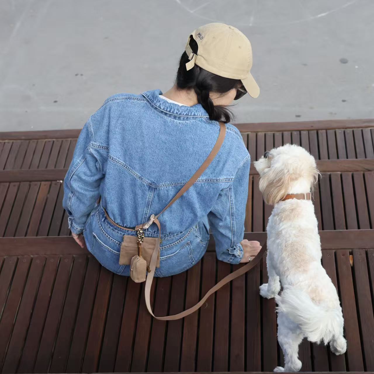 kuku brown dog walk collar set