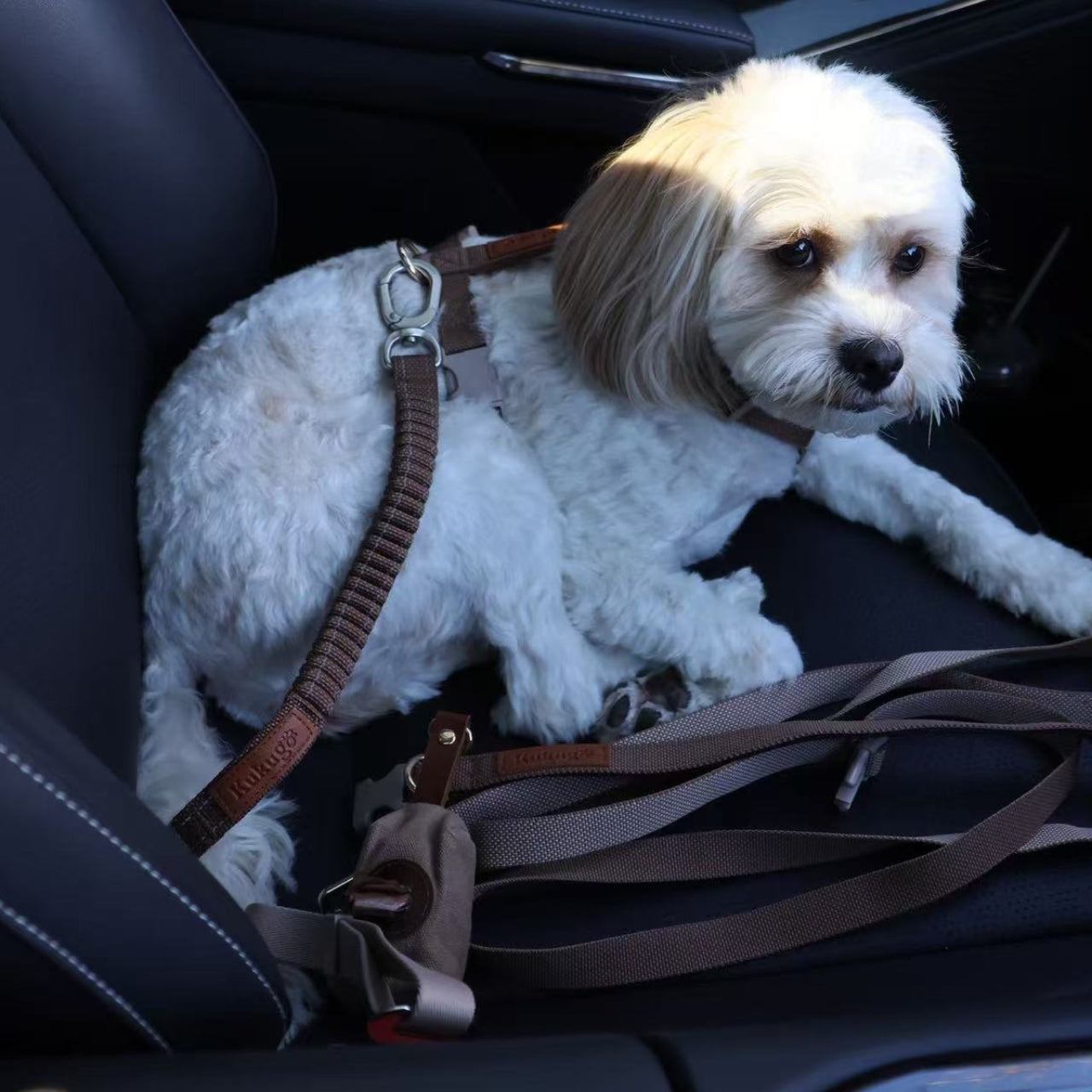 kuku brown dog city car travel harness & seat belt bundle