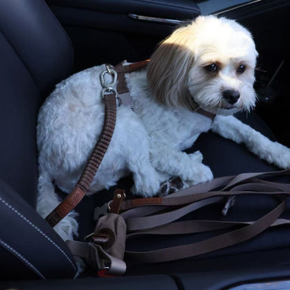 kuku brown dog city car travel harness & seat belt bundle