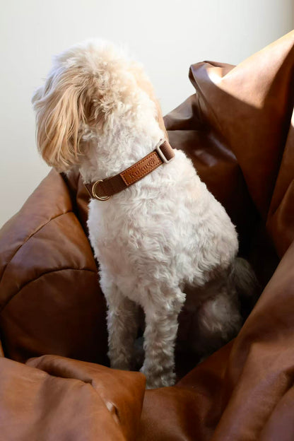 Kuku Brown Nylon Rope Dog Collar