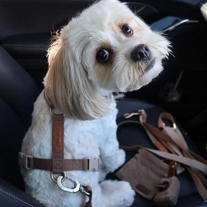 kuku brown dog city car travel harness & seat belt bundle