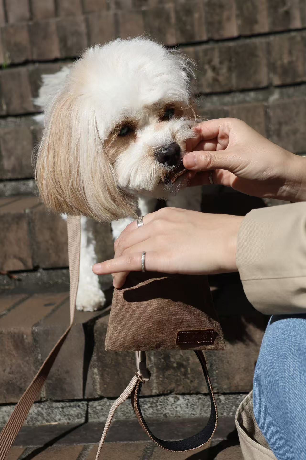 Waterproof Canvas & Leather Dog Treat Bag