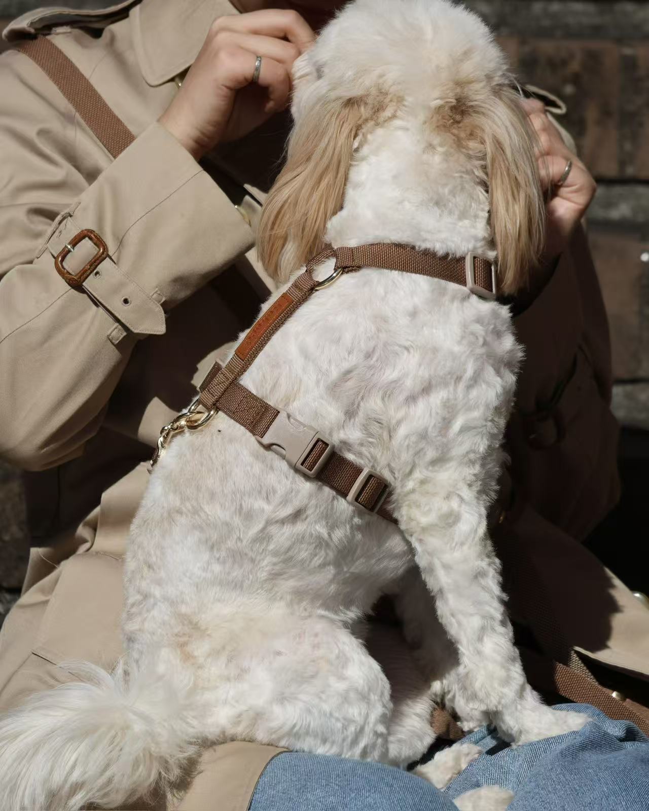 Kuku Brown Nylon Rope Y-Shaped Dog Harness