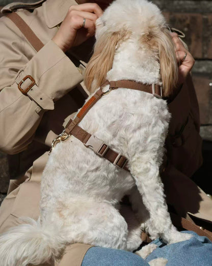 Kuku Brown Nylon Rope Y-Shaped Dog Harness