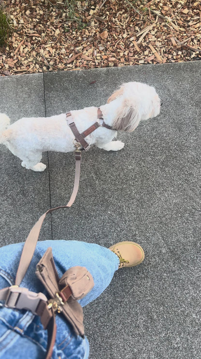 Kuku Brown Nylon Rope Hands-Free Dog Leash